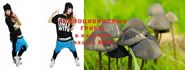 сатива Волоколамск