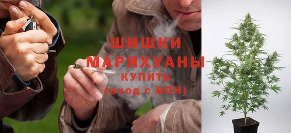 сатива Волоколамск